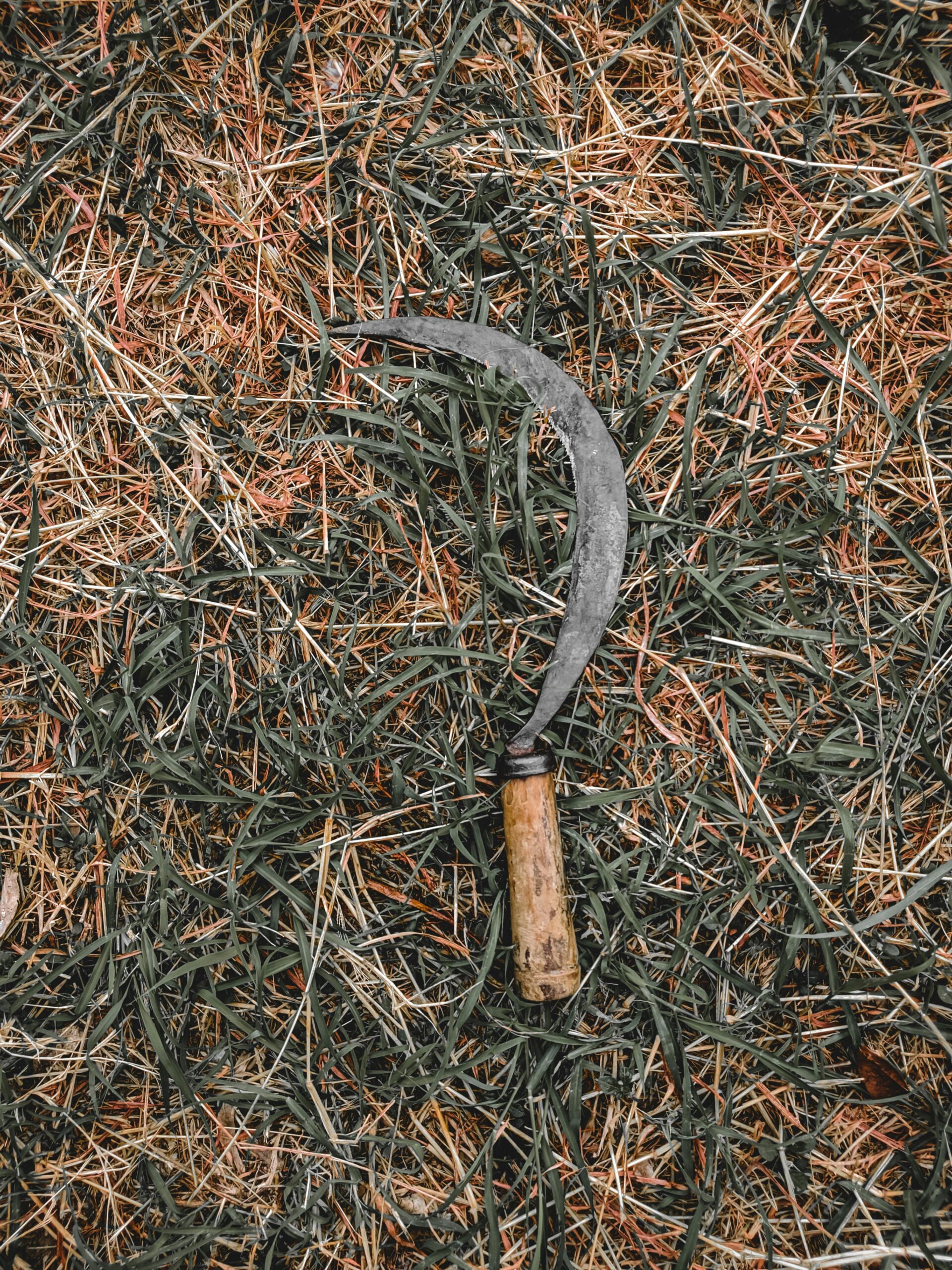 A sickle rests on dry grass, showcasing traditional farming tools against a natural backdrop.
